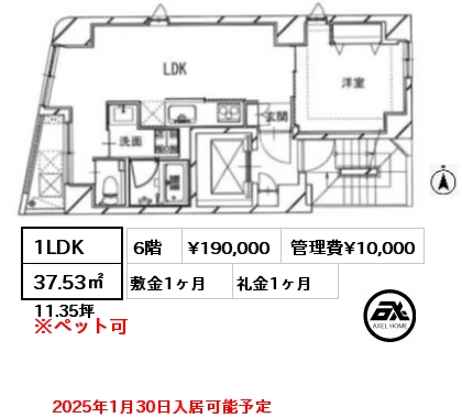 間取り3 1LDK 37.53㎡ 6階 賃料¥190,000 管理費¥10,000 敷金1ヶ月 礼金1ヶ月 2025年1月30日入居可能予定