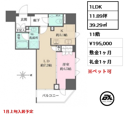 1LDK 39.29㎡ 11階 賃料¥195,000 敷金1ヶ月 礼金1ヶ月 1月上旬入居予定