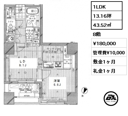 間取り3 1LDK 43.52㎡ 8階 賃料¥180,000 管理費¥10,000 敷金1ヶ月 礼金1ヶ月