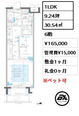 1LDK 30.54㎡ 6階 賃料¥165,000 管理費¥15,000 敷金1ヶ月 礼金0ヶ月