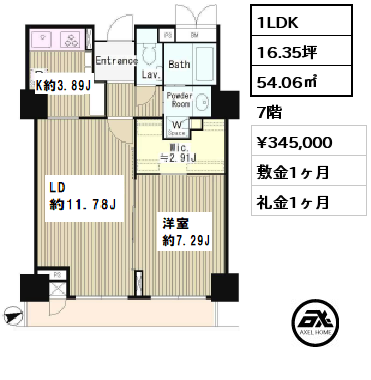 間取り3 1LDK 54.06㎡ 7階 賃料¥345,000 敷金1ヶ月 礼金1ヶ月