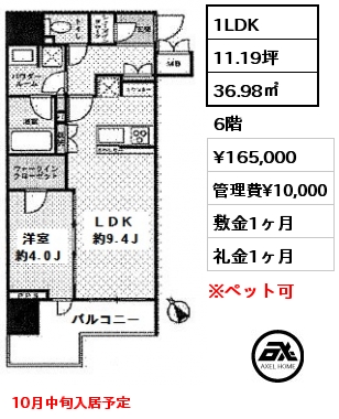 間取り3 1LDK 36.98㎡ 6階 賃料¥165,000 管理費¥10,000 敷金1ヶ月 礼金1ヶ月 10月中旬入居予定