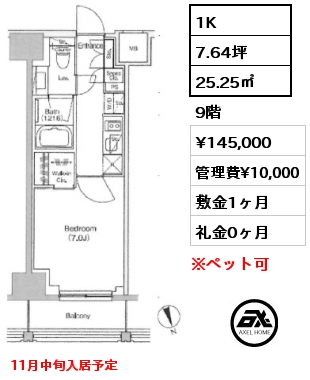 1K 25.25㎡ 9階 賃料¥145,000 管理費¥10,000 敷金1ヶ月 礼金0ヶ月 11月中旬入居予定