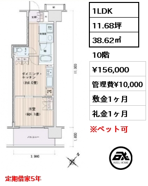 1LDK 38.62㎡ 10階 賃料¥156,000 管理費¥10,000 敷金1ヶ月 礼金1ヶ月 定期借家5年