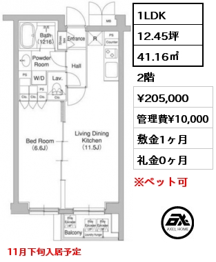 1LDK 41.16㎡ 2階 賃料¥205,000 管理費¥10,000 敷金1ヶ月 礼金0ヶ月 11月下旬入居予定