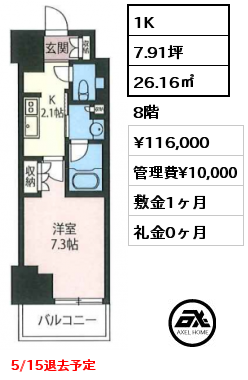 1K 26.16㎡ 8階 賃料¥116,000 管理費¥10,000 敷金1ヶ月 礼金0ヶ月