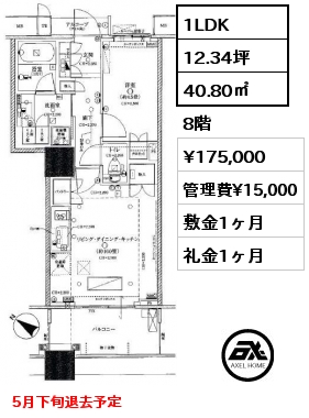 1LDK 40.80㎡ 8階 賃料¥175,000 管理費¥15,000 敷金1ヶ月 礼金1ヶ月