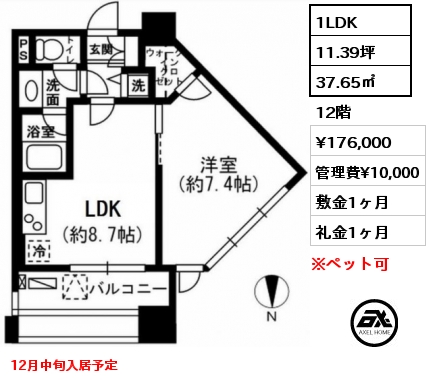 1LDK 37.65㎡ 12階 賃料¥176,000 管理費¥10,000 敷金1ヶ月 礼金1ヶ月 12月中旬入居予定