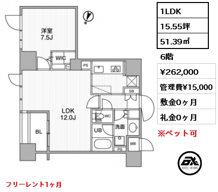 1LDK 51.39㎡ 6階 賃料¥262,000 管理費¥15,000 敷金0ヶ月 礼金0ヶ月 フリーレント1ヶ月　