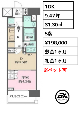 間取り4 1DK 31.30㎡ 5階 賃料¥198,000 敷金1ヶ月 礼金1ヶ月