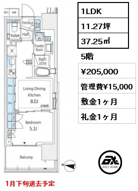 1LDK 37.25㎡ 5階 賃料¥205,000 管理費¥15,000 敷金1ヶ月 礼金1ヶ月 1月下旬退去予定