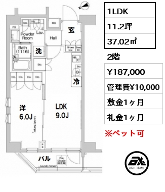 間取り4 1LDK 37.02㎡ 2階 賃料¥187,000 管理費¥10,000 敷金1ヶ月 礼金1ヶ月