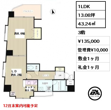 間取り4 1LDK 43.24㎡ 3階 賃料¥135,000 管理費¥10,000 敷金1ヶ月 礼金1ヶ月 12月末案内可能予定