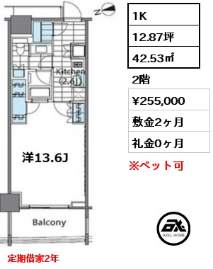 1K 42.53㎡ 2階 賃料¥255,000 敷金2ヶ月 礼金0ヶ月 定期借家2年　