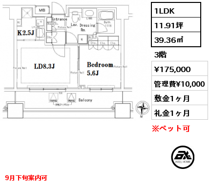 1LDK 39.36㎡ 3階 賃料¥175,000 管理費¥10,000 敷金1ヶ月 礼金1ヶ月 9月下旬案内可