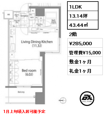 1LDK 43.44㎡ 2階 賃料¥285,000 管理費¥15,000 敷金1ヶ月 礼金1ヶ月 1月上旬頃入居可能予定