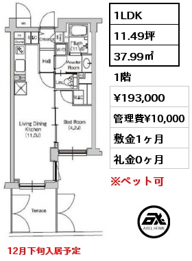 1LDK 37.99㎡ 1階 賃料¥193,000 管理費¥10,000 敷金1ヶ月 礼金0ヶ月 12月下旬入居予定