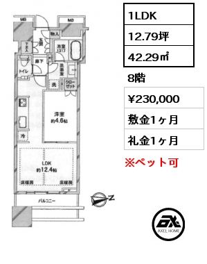 1LDK 42.29㎡ 8階 賃料¥230,000 敷金1ヶ月 礼金1ヶ月