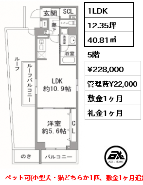 間取り5 1LDK 40.81㎡ 5階 賃料¥228,000 管理費¥22,000 敷金1ヶ月 礼金1ヶ月 ペット可(小型犬・猫どちらか1匹、敷金1ヶ月追加/償却）