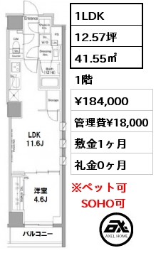 間取り5 1LDK 41.55㎡ 1階 賃料¥184,000 管理費¥18,000 敷金1ヶ月 礼金0ヶ月 　