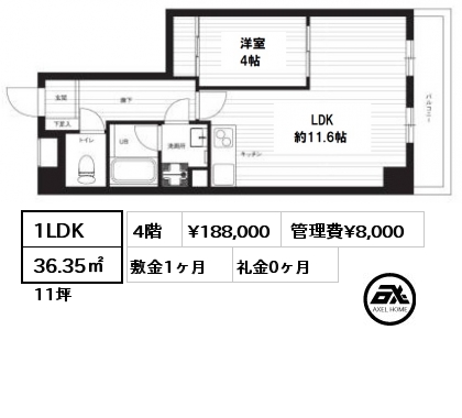 間取り5 1LDK 36.35㎡ 4階 賃料¥188,000 管理費¥8,000 敷金1ヶ月 礼金0ヶ月