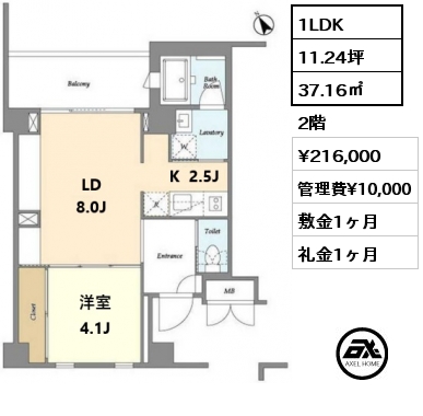 間取り5 1LDK 37.16㎡ 2階 賃料¥216,000 管理費¥10,000 敷金1ヶ月 礼金1ヶ月 　　　