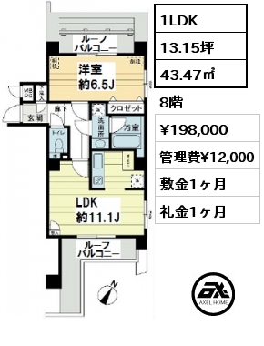 間取り5 1LDK 43.47㎡ 8階 賃料¥198,000 管理費¥12,000 敷金1ヶ月 礼金1ヶ月 　