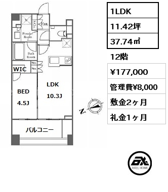 間取り5 1LDK 37.74㎡ 12階 賃料¥177,000 管理費¥8,000 敷金2ヶ月 礼金1ヶ月