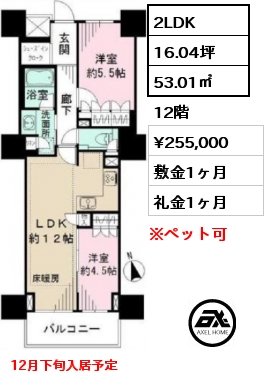 間取り5 2LDK 53.01㎡ 12階 賃料¥255,000 敷金1ヶ月 礼金1ヶ月 12月下旬入居予定