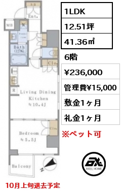 1LDK 41.36㎡ 6階 賃料¥236,000 管理費¥15,000 敷金1ヶ月 礼金1ヶ月