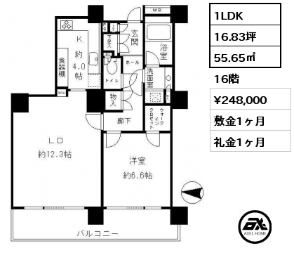 1LDK 55.65㎡ 16階 賃料¥248,000 敷金1ヶ月 礼金1ヶ月