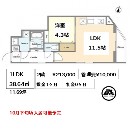 間取り6 1LDK 38.64㎡ 2階 賃料¥213,000 管理費¥10,000 敷金1ヶ月 礼金0ヶ月 10月下旬頃入居可能予定　　　