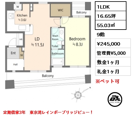 間取り6 1LDK 55.03㎡ 9階 賃料¥245,000 管理費¥5,000 敷金1ヶ月 礼金1ヶ月 定期借家3年　東京湾レインボーブリッジビュー！