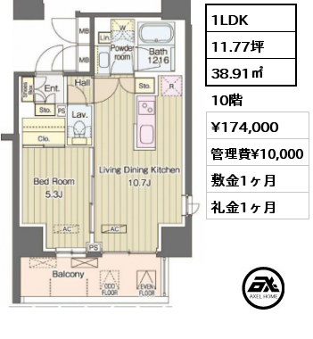 間取り6 1LDK 38.91㎡ 10階 賃料¥174,000 管理費¥10,000 敷金1ヶ月 礼金1ヶ月 　　