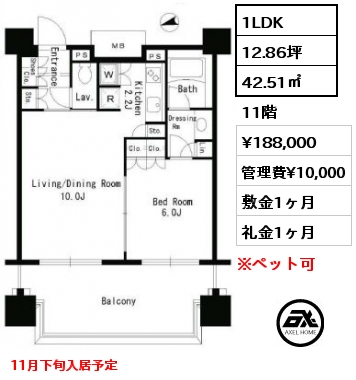 間取り6 1LDK 42.51㎡ 11階 賃料¥188,000 管理費¥10,000 敷金1ヶ月 礼金1ヶ月 11月下旬入居予定