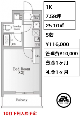 間取り6 1K 25.10㎡ 5階 賃料¥116,000 管理費¥10,000 敷金1ヶ月 礼金1ヶ月 10月下旬入居予定