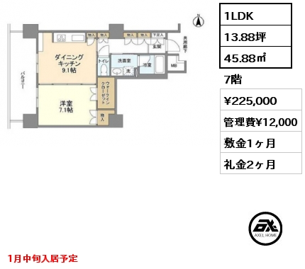 1LDK 45.88㎡ 7階 賃料¥225,000 管理費¥12,000 敷金1ヶ月 礼金2ヶ月 1月中旬入居予定