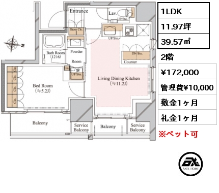 間取り7 1LDK 39.57㎡ 2階 賃料¥172,000 管理費¥10,000 敷金1ヶ月 礼金1ヶ月 　　