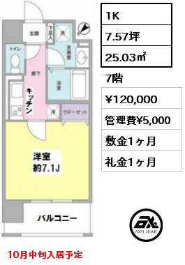 間取り7 1K 25.03㎡ 7階 賃料¥120,000 管理費¥5,000 敷金1ヶ月 礼金1ヶ月 10月中旬入居予定