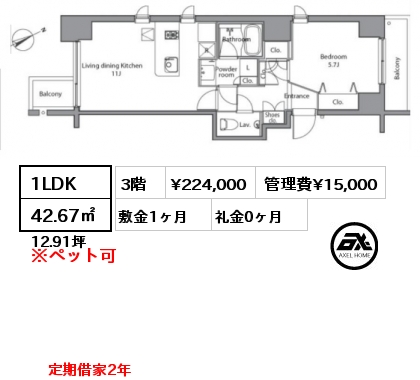 間取り7 1LDK 42.67㎡ 3階 賃料¥224,000 管理費¥15,000 敷金1ヶ月 礼金0ヶ月 定期借家2年