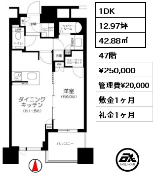 1DK 42.88㎡ 47階 賃料¥250,000 管理費¥20,000 敷金1ヶ月 礼金1ヶ月