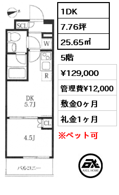 1DK 25.65㎡ 5階 賃料¥129,000 管理費¥12,000 敷金0ヶ月 礼金1ヶ月