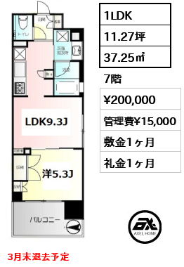 1LDK 37.25㎡  賃料¥200,000 管理費¥15,000 敷金1ヶ月 礼金1ヶ月 3月末退去予定