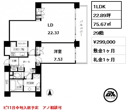 間取り8 1LDK 75.67㎡ 29階 賃料¥299,000 敷金1ヶ月 礼金1ヶ月 ピ11月中旬入居予定　アノ相談可　　