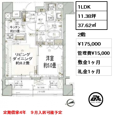 1LDK 37.62㎡ 2階 賃料¥175,000 管理費¥15,000 敷金1ヶ月 礼金1ヶ月 定期借家4年　９月入居可能予定