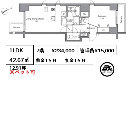 間取り8 1LDK 42.67㎡ 7階 賃料¥234,000 管理費¥15,000 敷金1ヶ月 礼金1ヶ月