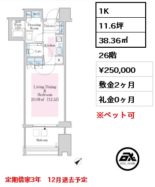 1K 38.36㎡ 26階 賃料¥250,000 敷金2ヶ月 礼金0ヶ月 定期借家3年　12月退去予定