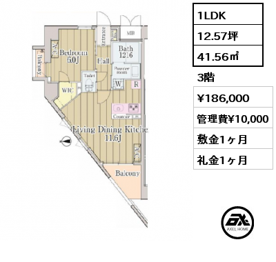 間取り9 1LDK 41.56㎡ 3階 賃料¥186,000 管理費¥10,000 敷金1ヶ月 礼金1ヶ月 　　