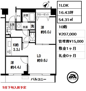 間取り9 1LDK 54.31㎡ 10階 賃料¥207,000 管理費¥15,000 敷金1ヶ月 礼金0ヶ月 9月下旬入居予定