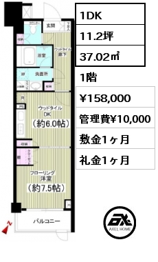 間取り9 1DK 37.02㎡ 1階 賃料¥158,000 管理費¥10,000 敷金1ヶ月 礼金1ヶ月